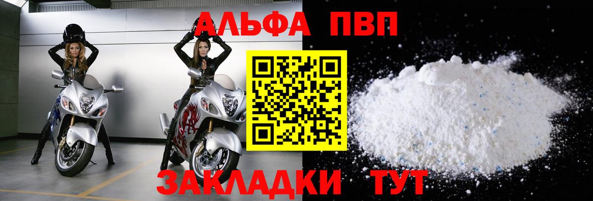 Альфа ПВП СК КРИС Гудермес