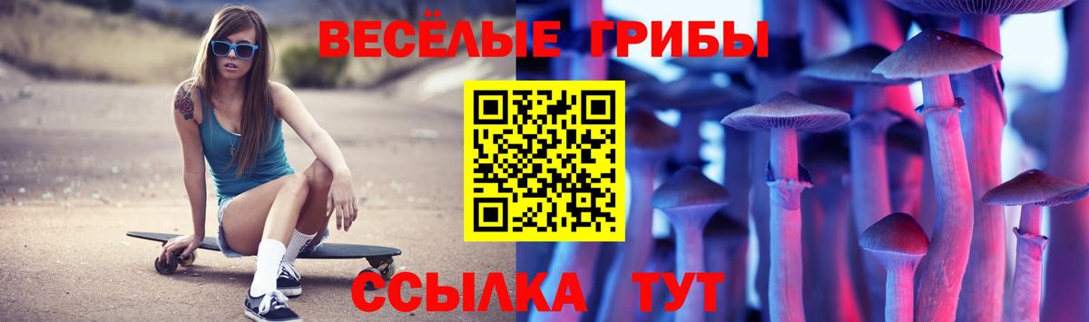 Гудермес  Галлюциногенные грибы Psilocybe  Вход с VPN 