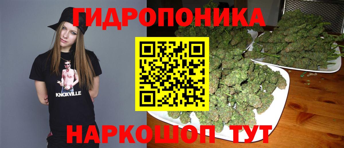 Шишки марихуана сатива Гудермес